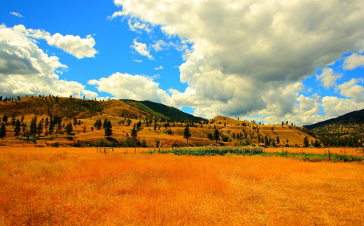 730978 (a): :3000x1858